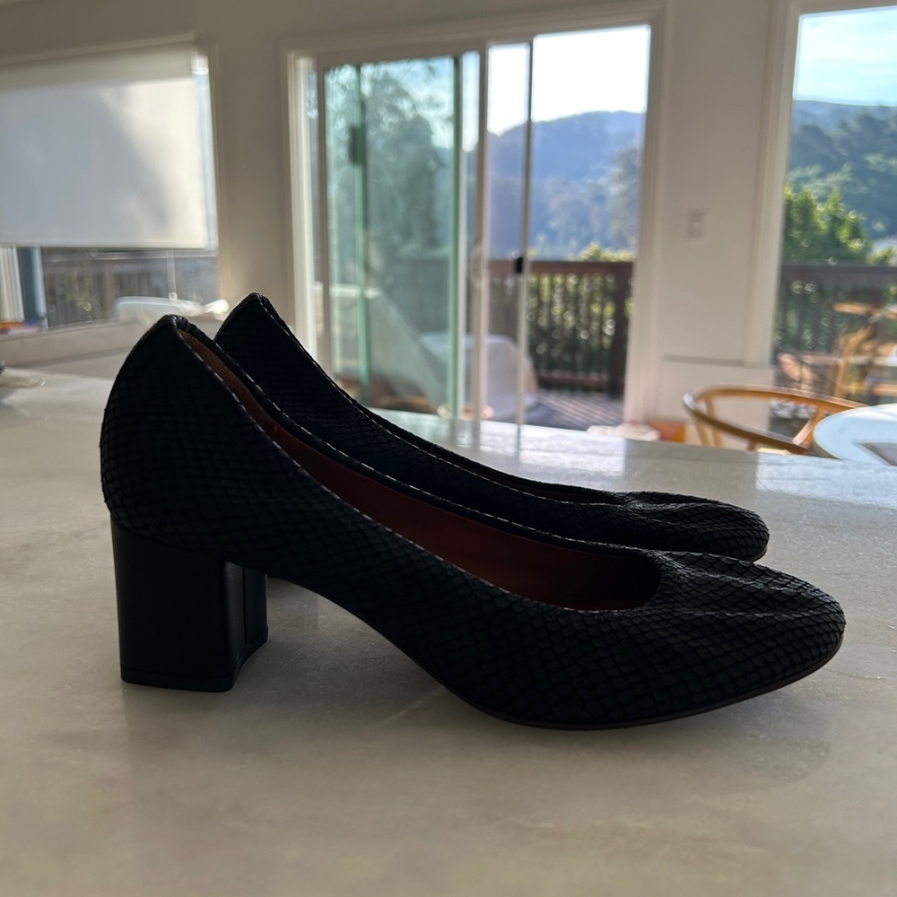 Lanvin Black - Snake Emboss Ballerina Pumps